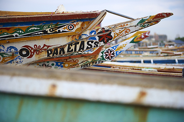 포토 JPG 해외이미지 모래 바다 아프리카 항해 어류 사람없음 컬러풀 페인트 보트 당기기 카누 낚시꾼 해외202004 해외포토 나라 컬러 배_교통 모션 수중동물 수상스포츠 파일형식 이미지허브