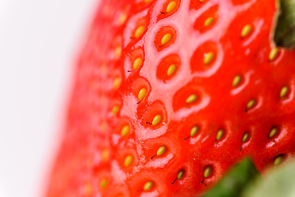 포토 JPG 해외이미지 1 열매 음식 과일 딸기 건강 사람없음 빨간색 초록색 컬러풀 신선 닫기 달콤 먹기 묘사 질감 해외202004 해외포토 식물 컬러 모션 맛 파일형식 이미지허브