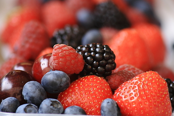 포토 JPG 해외이미지 식물 라이프스타일 열매 음식 백그라운드 다이어트 과일 재료 자연 디저트 건강 사탕 사람없음 빨간색 파란색 농작물 정원 검은색 신선 그룹 변화 숲 작음 먹기 유기농 블루베리 산딸기 블랙베리 내추럴 건포도 섞기 숙성 크랜베리 해외202004 해외포토 웰빙 컬러 컨셉 농업 모션 포도 생활 크기 생태계 건과일 파일형식 이미지허브