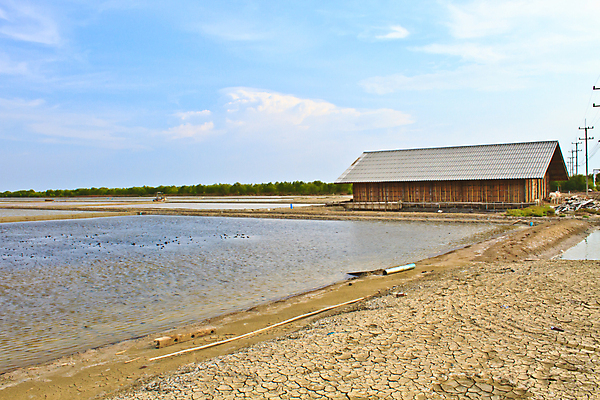 포토 JPG 해외이미지 산업 음식 농업 재료 자연 하늘 풍경 사람없음 야외 여름 파란색 농장 쌓기 맑음 흰색 농부 질감 소금 짠맛 해외202004 해외포토 직업 계절 컬러 모션 날씨 맛 생태계 파일형식 이미지허브