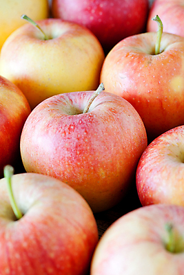 포토 JPG 해외이미지 음식 오렌지 과일 자연 건강 사람없음 야외 빨간색 초록색 여름 컬러풀 갈색 노란색 검은색 흰색 닫기 사과 일렬 해외202004 해외포토 계절 컬러 모션 생태계 파일형식 이미지허브