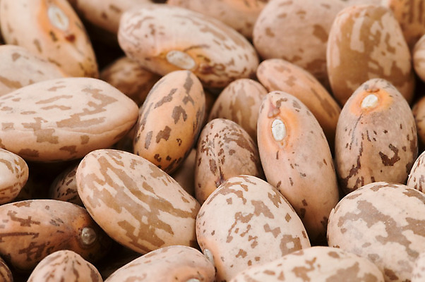 포토 JPG 해외이미지 식물 음식 백그라운드 농업 다이어트 채소 재료 자연 콩 건조 건강 식이요법 요리 씨앗 사람없음 식사 유기농 질감 날것 흙더미 내추럴 숙성 식용 해외202004 해외포토 웰빙 산업 곡류 흙 생태계 파일형식 더미 이미지허브