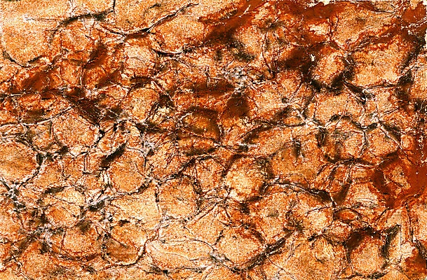 포토 JPG 해외이미지 디자인 종이 벽 백그라운드 패턴 벽지 날씨 추상 미술 사람없음 그래픽 장식 페인트 손상 수확 붓 점 얼룩 거친 주름 선탠 낟알 묘사 질감 캔버스 먼지 스크래치 시들음 찌그러짐 구김 그런지 스크랩북 양피지 원고 해외202004 해외포토 컨셉 무늬 농업 모션 문화예술 파일형식 이미지허브