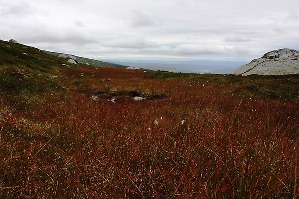 포토 JPG 해외이미지 구름 길 자연 하늘 산 이끼 풍경 사람없음 빨간색 초록색 물 평화 어둠 화목 침묵 젖음 가을 바위 개울 황무지 변화 숲 멀리 산악지대 변소 해외202004 해외포토 자연요소 계절 컬러 컨셉 강 소리 돌_바위 생태계 파일형식 이미지허브