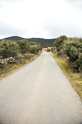 포토 JPG 해외이미지 나무 식물 유럽 도로 여행 겨울 자연 사람없음 야외 시골 스페인 숲 아스팔트 관목 방법 해외202004 해외포토 계절 나라 길 교통시설 생태계 파일형식 이미지허브