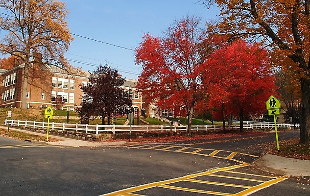 포토 JPG 해외이미지 나무 학생 계절 공원 도로 어린이 여행 오렌지 학교 하늘 버스 따뜻함 풍경 사람없음 야외 빨간색 초록색 파란색 갈색 노란색 화목 가을 신선 숲 조심 느림 해외202004 해외포토 식물 공공시설 교육 길 육상교통 컬러 컨셉 과일 교통시설 대중교통 사람 파일형식 이미지허브