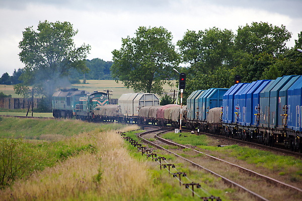 포토 JPG 해외이미지 교통시설 자연 풍경 사람없음 가로 환경 힘 기차 화물 시골 역 신호 광택 무거움 폴란드 선로 해외202004 해외포토 유럽 육상교통 교통 대중교통 운송업 무게 시설 생태계 파일형식 이미지허브