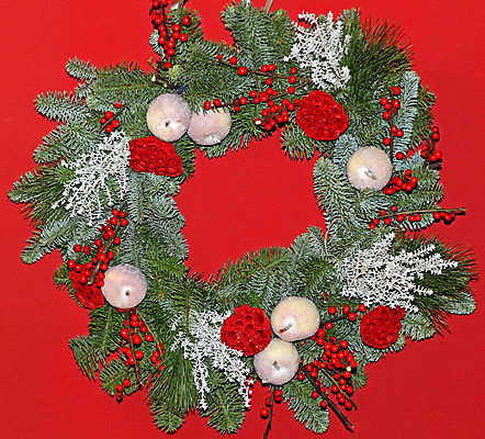 포토 JPG 해외이미지 잎 크리스마스 과일 사람없음 장식 빨간색 문 화환 나뭇가지 반지 소나무 상록수 침엽수 내추럴 해외202004 해외포토 나무 식물 기념일 꽃 컬러 장신구 파일형식 이미지허브