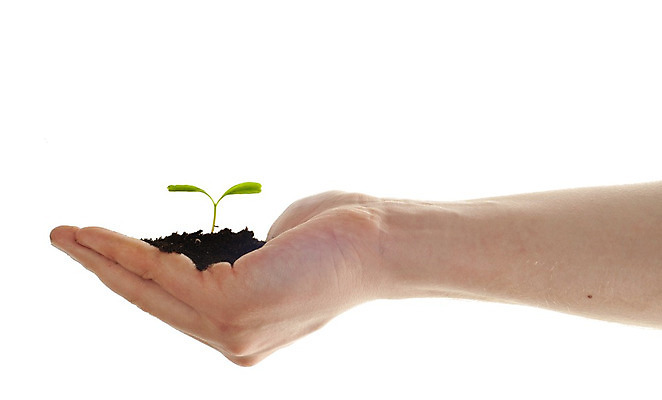 포토 JPG 해외이미지 나무 식물 1 손 산업 백그라운드 컨셉 잎 농업 자연 아이디어 사람 사람없음 초록색 농장 환경 정원 농사 흙 봄 성장 신선 잡기 보호 작음 심볼 에코 유기농 원예 질감 먼지 유지 내추럴 돌봄 생태학 생존 해외202004 해외포토 웰빙 계절 교육 컬러 모션 취미 신체부위 크기 생태계 파일형식 이미지허브