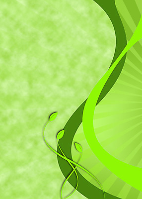 포토 JPG 해외이미지 식물 디자인 컨셉 잎 일러스트 자연 사람없음 초록색 환경 봄 신선 친환경 생태계 유지 내추럴 스타일 해외202004 해외포토 계절 컬러 파일형식 이미지허브