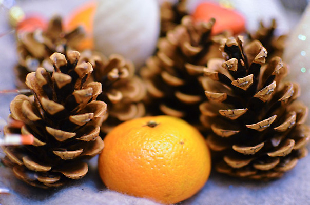 포토 JPG 해외이미지 나무 전통 계절 별 리본 음식 백그라운드 크리스마스 겨울 오렌지 재료 휴가 디저트 새로움 선물 사람없음 장식 빨간색 초록색 갈색 노란색 축제 수확 흰색 나뭇가지 축하 소나무 뜨거움 신용카드 막대기 황금 달콤 정상 12월 연도 심볼 향신료 아로마 전나무 원뿔 시나몬 해외202004 해외포토 자연요소 도형 식물 기념일 컬러 컨셉 농업 과일 금융 날짜 맛 향미료 파일형식 이미지허브