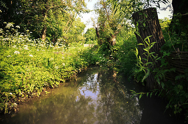 포토 JPG 해외이미지 나무 식물 구름 계절 공원 잎 모션 자연 하늘 산 건강 파노라마 풍경 사람없음 야외 초록색 물 여름 파란색 강 평화 환경 계곡 봄 폭포 하이킹 젖음 흐름 성장 바위 신선 개울 급류 떨어짐 숲 작음 장면 해외202004 해외포토 자연요소 공공시설 컬러 컨셉 레저 촬영기법 돌_바위 크기 생태계 파일형식 이미지허브