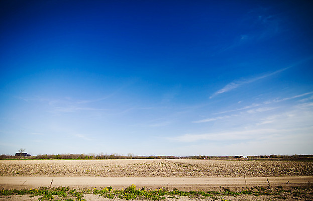 포토 JPG 해외이미지 도로 밭 농업 자연 하늘 지붕 거리 건조 사람없음 초록색 파란색 햇빛 봄 농촌 볏짚 땅 조경 먼지 멀리 세련 해외202004 해외포토 계절 산업 길 컬러 교통시설 태양 시골 짚 생태계 파일형식 이미지허브