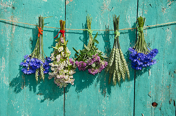 포토 JPG 해외이미지 식물 계절 줄 꽃다발 백그라운드 컨셉 아이디어 매달리기 사람없음 빨간색 초록색 파란색 컬러풀 개화 시리얼 밀 다발 메밀 허브 귀 수레국화 해외202004 해외포토 꽃 음식 컬러 식재료 모션 곡류 신체부위 파일형식 이미지허브