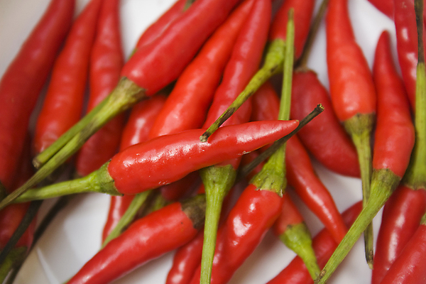 포토 JPG 해외이미지 음식 줄기 채소 재료 태국 고추 건강 요리 동양인 사람없음 빨간색 초록색 쌓기 신선 뜨거움 양념 시장 맛 작음 다발 향신료 유기농 매움 날것 향료 레시피 후추 내추럴 고립 할라피뇨 화상 많음 해외202004 해외포토 식물 웰빙 아시아 컬러 컨셉 모션 인종 상처 크기 향기 냄새 향미료 파일형식 이미지허브