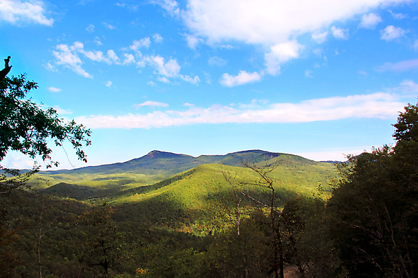 포토 JPG 해외이미지 나무 식물 여행 백그라운드 잎 자연 하늘 날씨 휴가 산 항해 파노라마 풍경 사람없음 야외 목재 초록색 여름 파란색 맑음 침묵 시골 정상 숲 땅 통과 생태학 수평선 해외202004 해외포토 계절 교육 컬러 배_교통 재료 촬영기법 소리 생태계 파일형식 이미지허브