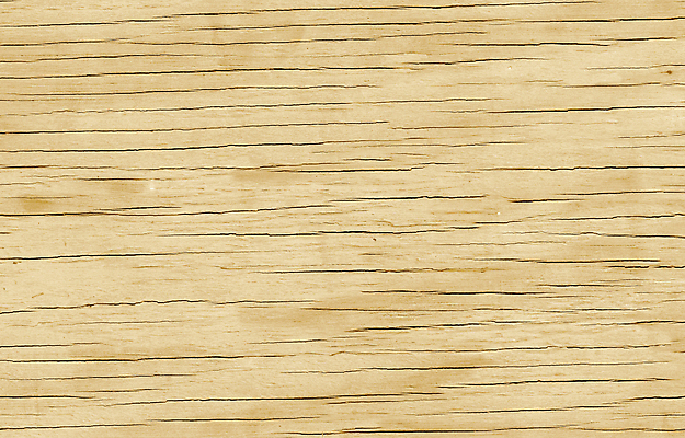 포토 JPG 해외이미지 모양 나무 산업 선 조각 백그라운드 십자가 패턴 부분 자연 표면 날씨 추상 사람없음 목재 갈색 줄무늬 반지 원형 역사 널 숲 장작 자르기 유기농 질감 통나무 나무껍질 잡동사니 내추럴 방법 수목 옛날 노화 해외202004 해외포토 도형 식물 웰빙 컬러 컨셉 무늬 재료 장신구 모션 껍질 생태계 파일형식 이미지허브