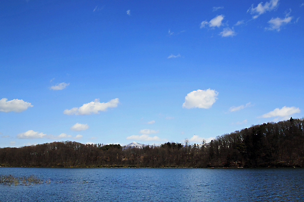 포토 JPG 해외이미지 나무 구름 겨울 하늘 사람없음 야외 목재 일본 흰색 숲 해외202004 해외포토 자연요소 식물 계절 아시아 컬러 재료 파일형식 이미지허브