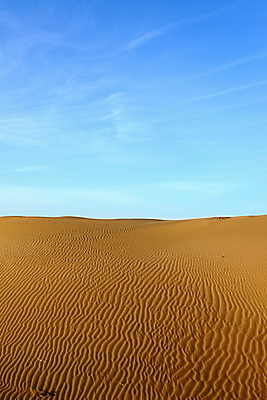 포토 JPG 해외이미지 모래 파도 여행 백그라운드 패턴 오렌지 아프리카 자연 하늘 건조 따뜻함 텐트 풍경 사람없음 야외 빨간색 여름 파란색 모래사장 태양 갈색 노란색 맑음 일몰 사막 뜨거움 거친 고독 갈증 모래언덕 묘사 지역 가뭄 리빙 모로코 사하라 내추럴 아랍어 해외202004 해외포토 자연요소 계절 감정 나라 바다 컬러 무늬 과일 날씨 캠핑도구 노을 언덕 생태계 파일형식 이미지허브