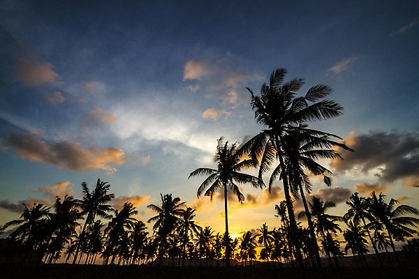 포토 JPG 해외이미지 나무 구름 실루엣 바다 섬 백그라운드 잎 자연 하늘 따뜻함 손바닥 풍경 사람없음 목재 여름 태양 일몰 새벽 꿈 만 뜨거움 휴게실 고급 저녁 숲 휴양지 화산 인도네시아 남쪽 석호 파라다이스 수평선 해외202004 해외포토 자연요소 식물 손 계절 아시아 컨셉 재료 산 촬영기법 노을 장소 야간 방향 생태계 파일형식 이미지허브