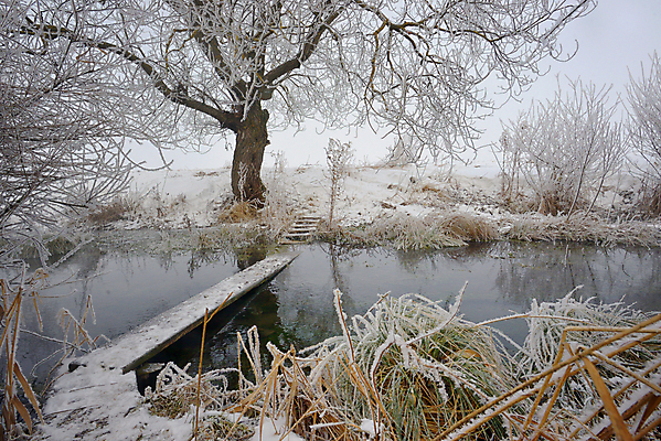 포토 JPG 해외이미지 나무 계절 호수 겨울 밭 자연 하늘 아침 날씨 풍경 사람없음 야외 물 강 햇빛 일출 맑음 냉동 침묵 활발 추위 흰색 나뭇가지 시골 보트 시원함 12월 버드나무 서리 장면 낚시꾼 루마니아 눈내림 해외202004 해외포토 주간 자연요소 식물 유럽 컬러 컨셉 농업 배_교통 눈_날씨 태양 노을 소리 날짜 생태계 파일형식 이미지허브