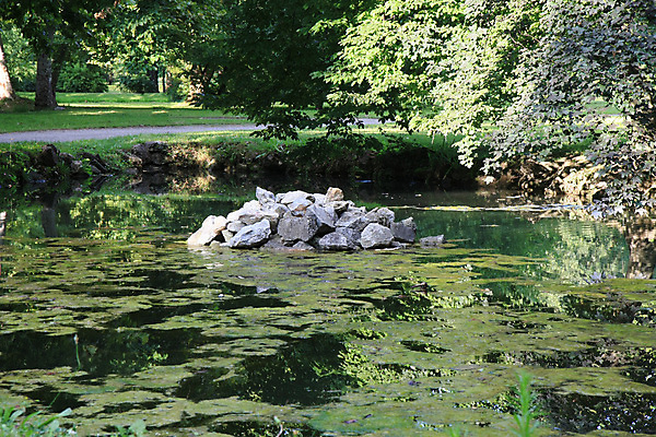 포토 JPG 해외이미지 나무 공원 호수 잎 자연 표면 풍경 사람없음 초록색 소풍 가을 연못 숲 해외202004 해외포토 식물 계절 공공시설 컬러 야외활동 생태계 파일형식 이미지허브