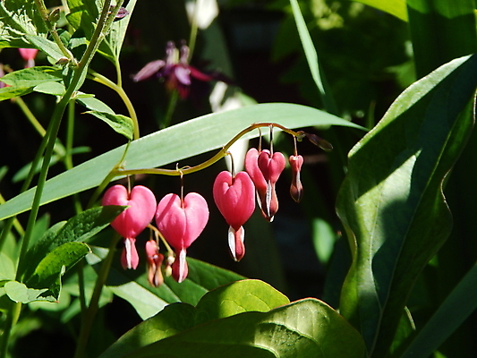 포토 JPG 해외이미지 식물 꽃 백그라운드 꽃무늬 패턴 오렌지 자연 해바라기 사람없음 초록색 컬러풀 노란색 놀람 봄 흰색 닫기 내추럴 해외202004 해외포토 계절 감정 컬러 무늬 과일 모션 표정 생태계 파일형식 이미지허브