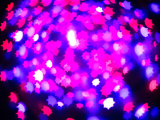 포토 JPG 해외이미지 나무 디자인 배너 커플 계절 분홍색 결혼 백그라운드 크리스마스 겨울 패턴 추상 휴가 불꽃 프레임 발렌타인데이 사랑 미술 사람없음 장식 빨간색 초록색 물 여름 파란색 빛 컬러풀 파티 보라색 검은색 봄 하트 야간 소프트포커스 질감 보케 광 블러 효과 해외202004 해외포토 자연요소 모양 식물 기념일 감정 컬러 무늬 관계 데이이벤트 불 문화예술 촬영기법 이벤트 파일형식 이미지허브