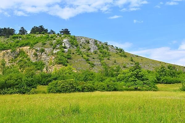 포토 JPG 해외이미지 나무 식물 유럽 산업 여행 백그라운드 밭 농업 건축양식 자연 하늘 산 파노라마 풍경 사람없음 야외 초록색 여름 파란색 마을 와인 봄 성장 흰색 시골 숲 언덕 포도밭 포도나무 지역 체코 남쪽 내추럴 공화국 옛날 모라비아 해외202004 해외포토 계절 건축 나라 컬러 주류 촬영기법 과일나무 방향 생태계 파일형식 이미지허브