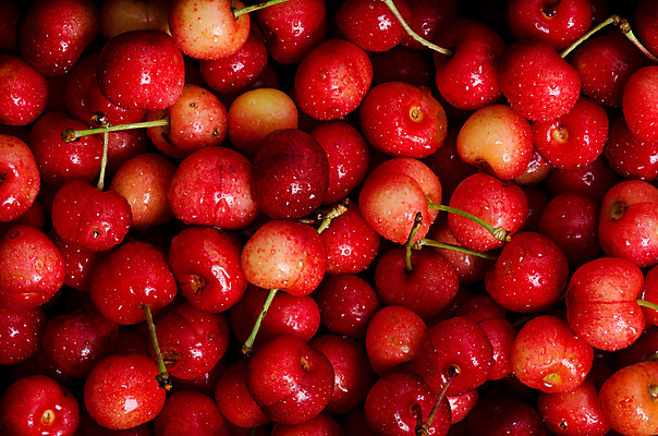 포토 JPG 해외이미지 모양 열매 음식 백그라운드 패턴 과일 재료 자연 건강 사람없음 빨간색 물 빛 농작물 신선 체리 그룹 시장 선택 달콤 먹기 유기농 질감 날것 흙더미 내추럴 많음 해외202004 해외포토 자연요소 식물 웰빙 컬러 컨셉 무늬 농업 모션 흙 맛 생태계 파일형식 더미 이미지허브