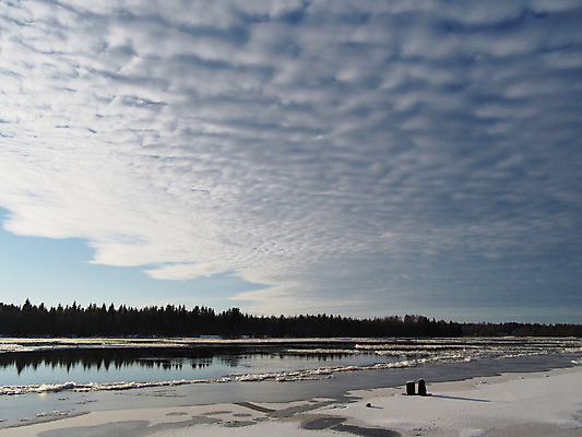 포토 JPG 해외이미지 나무 겨울 자연 스웨덴 풍경 사람없음 야외 목재 물 강 반사 평화 추위 시골 황무지 숲 강가 서리 자연백그라운드 내추럴 삼림지대 눈내림 해외202004 해외포토 자연요소 식물 계절 백그라운드 컨셉 재료 눈_날씨 북유럽 생태계 파일형식 이미지허브