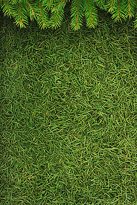 포토 JPG 해외이미지 나무 식물 백그라운드 크리스마스 겨울 자연 휴가 새해 프레임 사람없음 장식 초록색 축제 추위 흰색 나뭇가지 축하 눈송이 숲 정사각형 뼈대 상록수 침엽수 전나무 내추럴 고립 구성 가문비나무 해외202004 해외포토 도형 계절 기념일 컬러 컨셉 눈_날씨 생태계 파일형식 이미지허브