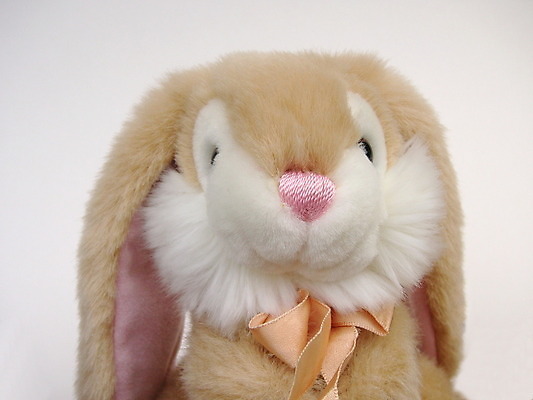 포토 JPG 해외이미지 동물 1 응시 얼굴 어린이 포즈 포유류 포옹 자연 생물 털 서기 앉기 사람없음 장난감 갈색 흰색 토끼 해충 설치류 작음 모피 싱글 귀 부드러움 솜털 폭식 혼자 해외202004 해외포토 시선 컬러 안기 모션 사람 신체부위 반려동물 감각 벌레 크기 생태계 파일형식 이미지허브