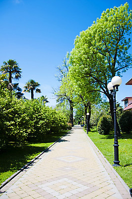 포토 JPG 해외이미지 모양 나무 공원 잎 건축양식 자연 하늘 주택 따뜻함 손바닥 사람없음 야외 목재 초록색 컬러풀 노란색 맑음 봄 산책 나뭇가지 신선 관목 해외202004 해외포토 식물 손 계절 공공시설 건축 컬러 재료 날씨 휴식 건물 생태계 파일형식 이미지허브