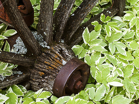 포토 JPG 해외이미지 여행 백그라운드 농업 교통시설 날씨 사람없음 야외 목재 초록색 농장 갈색 금속 수확 골동품 시골 바퀴 원형 역사 클래식 철 버리기 향수 부식 질감 복고 과거 구식 깨짐 밭일 서쪽 옛날 철강 특별함 핸드메이드 해외202004 해외포토 도형 나무 산업 컬러 교통 컨셉 재료 모션 재질 화장품 방향 시설 파일형식 이미지허브