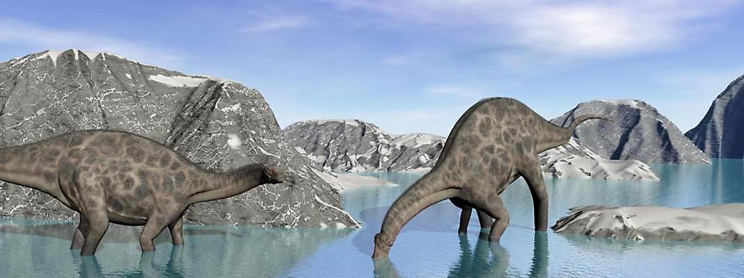 포토 JPG 해외이미지 나무 동물 호수 음료 2 일러스트 포유류 파충류 생물 풍경 사람없음 3D 디지털 바위 죽음 역사 야간 가득함 공룡 박물관 만들기 장면 화석 멸종 스파이크 선사시대 내추럴 고고학 기간 몬스터 쥬라기 해외202004 해외포토 자연요소 식물 교육 모션 돌_바위 디지털합성 파일형식 이미지허브