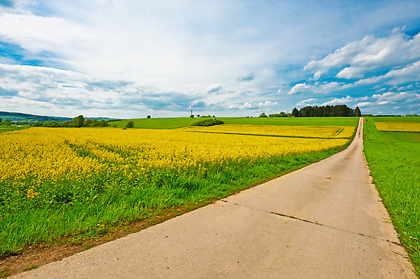 포토 JPG 해외이미지 나무 식물 구름 유럽 산업 도로 밭 농업 자연 하늘 주택 독일 풍경 잔디 사람없음 야외 초록색 여름 농장 농경지 환경 힘 봄 풍차 발전기 에너지 수확 시골 풍력에너지 숲 아스팔트 땅 언덕 프로펠러 혁명 밭일 생태학 세련 해외202004 해외포토 자연요소 계절 교육 나라 길 컬러 컨셉 교통시설 건물 발전소 그린에너지 생태계 파일형식 이미지허브