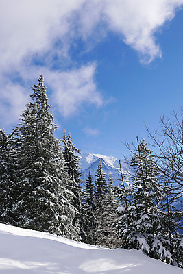 포토 JPG 해외이미지 조각 겨울 자연 스키 파노라마 풍경 사람없음 마을 추위 흰색 시골집 휴양지 양배추 샤모니 선로 해외202004 해외포토 계절 컬러 채소 겨울스포츠 주택 촬영기법 장소 프랑스 생태계 파일형식 이미지허브