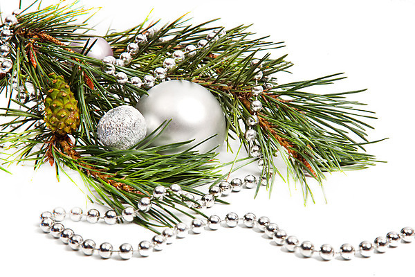 포토 JPG 해외이미지 식물 전통 계절 크리스마스 공 유리 휴가 새로움 사람없음 장식 초록색 빛 화환 장식볼 흰색 나뭇가지 축하 소나무 화려 닫기 연도 배열 구슬 심볼 광택 상록수 침엽수 전나무 고립 구성 여의주 가문비나무 해외202004 해외포토 나무 기념일 꽃 컬러 컨셉 모션 재질 파일형식 이미지허브