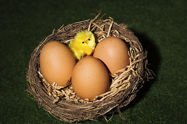 포토 JPG 해외이미지 디자인 리본 분홍색 백그라운드 패턴 오렌지 포장 휴가 부활절 기념 사탕 손잡이 그림자 사람없음 장식 가로 세로 초록색 파란색 컬러풀 노란색 꼬리표 과자 초콜릿 계란 봄 축하 대접 인사 달콤 균형 은박지 심볼 질감 데이지 각도 일요일 프랑스어 해외202004 해외포토 문자 계절 기념일 꽃 컬러 컨셉 무늬 과일 디저트 라벨 알 예절 맛 요일 파일형식 이미지허브