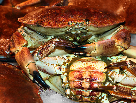 포토 JPG 해외이미지 음식 바다 조개 항해 건강 어류 요리 사람없음 빨간색 얼음 식사 게 신선 시장 바닷가재 왕 상인 먹기 계산대 해산물 날것 해군 소금 낚시꾼 단백질 매각 시애틀 줄서기 해외202004 해외포토 자연요소 컬러 배_교통 모션 어패류 군대 갑각류 수중동물 가재 영양소 파일형식 이미지허브