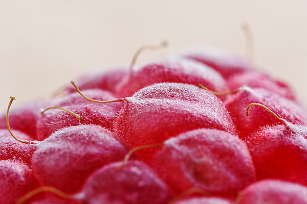 포토 JPG 해외이미지 식물 계절 열매 길 음식 분홍색 백그라운드 패턴 농업 채소 과일 재료 자연 디저트 건강 관리 사람없음 빨간색 봄 활발 흰색 신선 그룹 달콤 자르기 먹기 오브젝트 싱글 상쾌 유기농 질감 날것 산딸기 슛 멀리 고립 숙성 해외202004 해외포토 웰빙 감정 산업 컬러 컨셉 무늬 모션 맛 생태계 파일형식 이미지허브