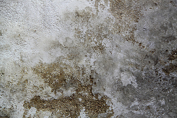 포토 JPG 해외이미지 디자인 벽 백그라운드 건축양식 날씨 추상 사람없음 페인트 손상 회색 골동품 바위 흰색 도시 얼룩 거친 고민 부식 질감 복고 시멘트 결 그런지 깨짐 로마인 옛날 콘크리트 효과 해외202004 해외포토 건축 감정 컬러 컨셉 무늬 인종 돌_바위 파일형식 이미지허브