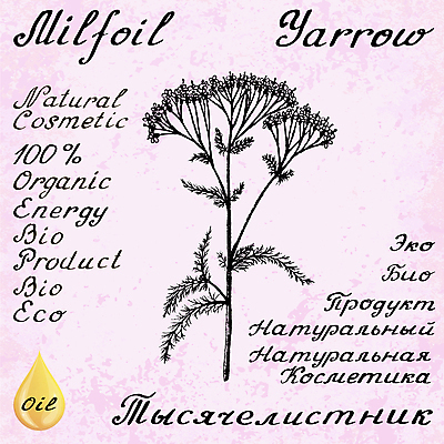 포토 JPG 해외이미지 식물 손 디자인 영어 꽃 음료 백그라운드 잎 꽃무늬 포장 자연 건강 사람없음 그래픽 치료 약 연필 화장품 수확 스케치 약국 허브 그림 에코 유기농 윤곽 아로마테라피 테라피 러시아인 레터링 해외202004 해외포토 서양인 문자 웰빙 무늬 농업 의학 학용품 미술 신체부위 필기구 뷰티 환경 생태계 파일형식 이미지허브