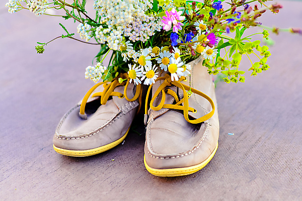 포토 JPG 해외이미지 식물 꽃 분홍색 꽃다발 신발 잎 꽃무늬 자연 사람없음 초록색 여름 컬러풀 소풍 노란색 정원 꽃병 봄 산책 벚꽃 가을 흰색 신선 냄비 시골집 원예 데이지 고립 해외202004 해외포토 계절 컬러 무늬 휴식 주택 취미 야외활동 솥 생태계 파일형식 이미지허브