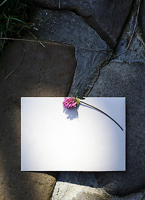 포토 JPG 해외이미지 꽃 리본 종이 꽃다발 프레임 타이포그라피 사람없음 클로버 책상 목업 해외202004 해외포토 식물 문자 가구 파일형식 이미지허브