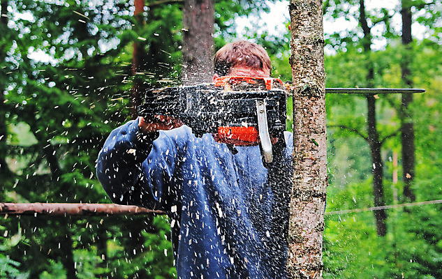포토 JPG 해외이미지 나무 잎 자연 날씨 한명 서기 목재 초록색 숲 속도 먼지 자작나무 모터 생태학 지원 톱밥 해외202004 해외포토 식물 1 교육 컬러 재료 모션 사람 가루 생태계 파일형식 이미지허브