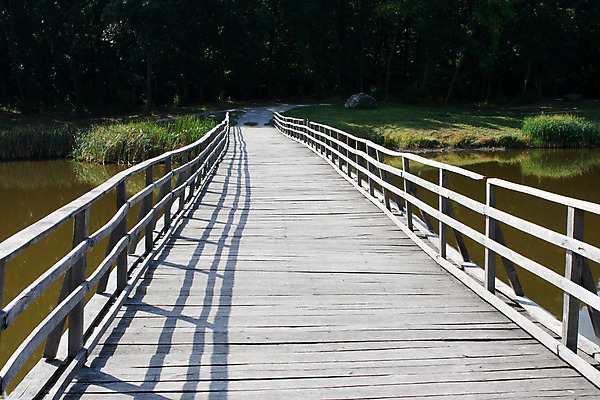 포토 JPG 해외이미지 나무 식물 공원 도로 호수 여행 잎 자연 풍경 사람없음 야외 목재 초록색 물 여행객 침묵 가을 시골 연못 숲 그늘 장면 해외202004 해외포토 자연요소 계절 공공시설 길 컬러 재료 교통시설 사람 소리 생태계 파일형식 이미지허브
