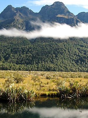 포토 JPG 해외이미지 나무 공원 섬 새로움 산 풍경 사람없음 세계 소리 안개 황무지 재산 보호 숲 땅 언덕 지역 남쪽 산악지대 울퉁불퉁 전국 해외202004 해외포토 식물 공공시설 컨셉 날씨 금융 방향 파일형식 이미지허브