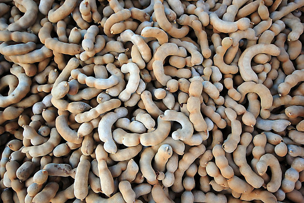 포토 JPG 해외이미지 음식 백그라운드 농업 다이어트 채소 과일 건강 사람없음 초록색 농장 노란색 주스 껍질 신선 시장 달콤 맛 먹기 날것 식료품점 억울 해외202004 해외포토 감정 산업 음료 컬러 컨셉 모션 상점 파일형식 이미지허브